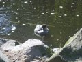 IMGP0775.JPG